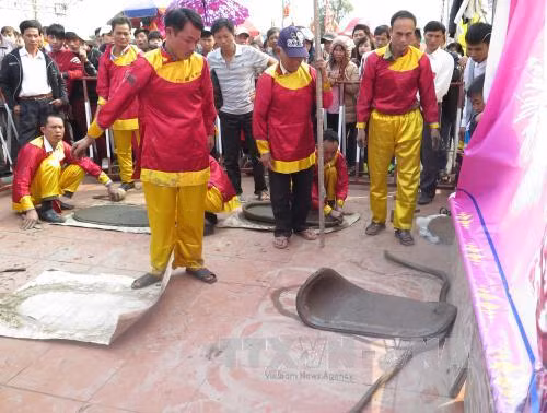 Rộn ràng hội thi pháo đất ảnh 8