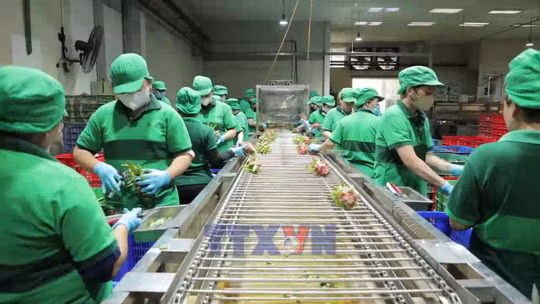 Công nghệ giúp tăng sức cạnh tranh cho nông sản Việt