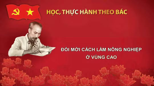 Học, thực hành theo Bác: Đổi mới cách làm nông nghiệp ở vùng cao
