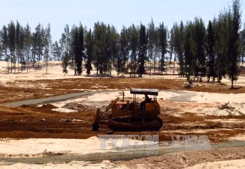 Thanh tra Chính phủ kiểm tra việc chuyển mục đích sử dụng rừng phòng hộ tại tỉnh Phú Yên ảnh 1