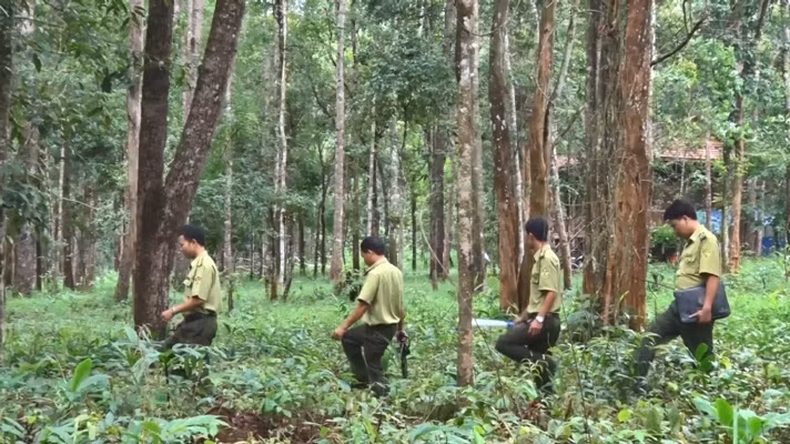 Nhiều chính sách thiết thực để bảo vệ rừng Tây Nguyên ảnh 1