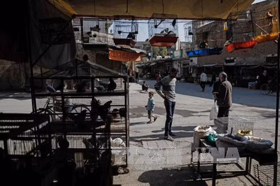 Nga hoan nghênh Mỹ tham gia thỏa thuận vùng giảm căng thẳng tại Syria ảnh 1
