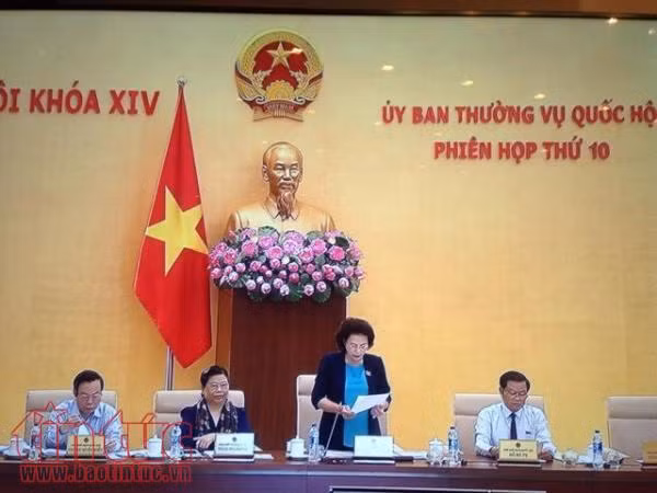 Cho ý kiến về việc cho thôi nhiệm vụ đại biểu Quốc hội đối với ông Võ Kim Cự ảnh 1