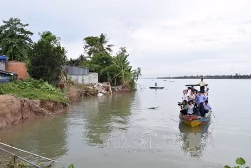 Lo ngại các vụ sạt lở bờ sông Tiền tại Đồng Tháp ảnh 1