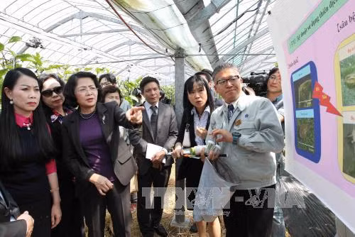 Phó Chủ tịch nước Đặng Thị Ngọc Thịnh tham dự Gặp gỡ Doanh nghiệp Việt Nam – Fukuoka ảnh 3