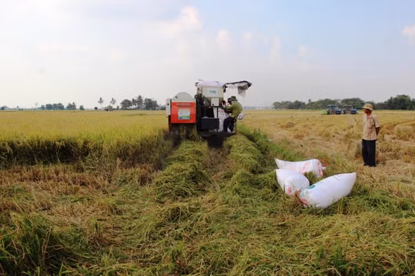 Cần liên kết chặt chẽ trong từng lĩnh vực cụ thể ảnh 1
