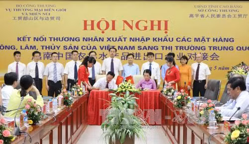 Kết nối thương nhân xuất khẩu hàng hóa sang thị trường Trung Quốc ảnh 2