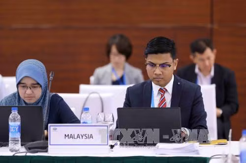 APEC 2017: Ủy ban thương mại và đầu tư họp tại Hà Nội ảnh 1