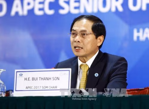 Đưa APEC gần hơn tới người dân và doanh nghiệp ảnh 1