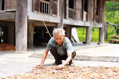 Đậm nghĩa tình Ngày giỗ Bác của đồng bào Mường ở Quảng Nam ảnh 2