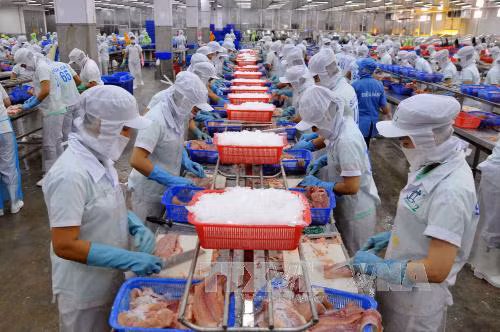 Việt Nam đẩy mạnh hợp tác với Hoa Kỳ trong nông nghiệp ảnh 1