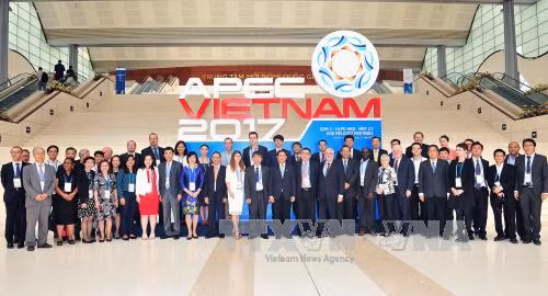 APEC 2017: Tiếp tục các cuộc họp của Nhóm công tác phát triển nguồn nhân lực ảnh 1