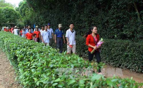 Kỷ niệm Ngày sinh Bác Hồ 19/5: Người dân mọi miền Tổ quốc hướng về Người ảnh 1