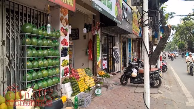 Hà Nội sẽ yêu cầu cửa hàng bán trái cây phải đăng ký ảnh 1