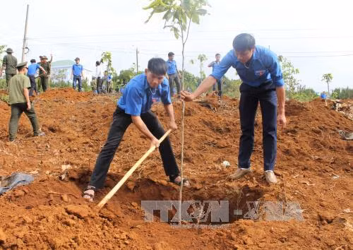 Sôi nổi các hoạt động kỷ niệm 127 năm Ngày sinh Chủ tịch Hồ Chí Minh ảnh 4