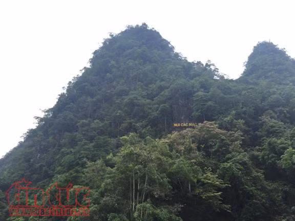 Về nơi Bác Hồ 'sáng ra bờ suối, tối vào hang' ảnh 5