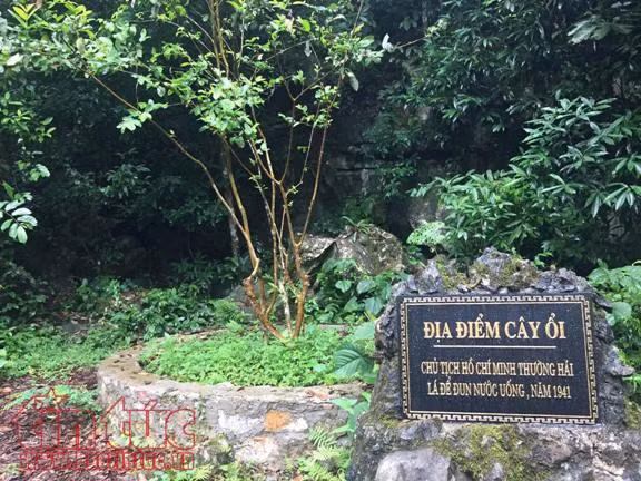 Về nơi Bác Hồ 'sáng ra bờ suối, tối vào hang' ảnh 13