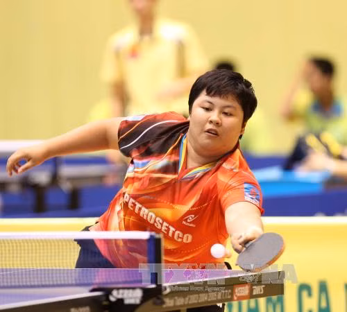 Khai mạc Giải vô địch bóng bàn toàn quốc Báo Nhân Dân năm 2017 ảnh 2