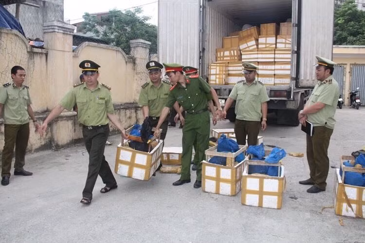 Vận chuyển 31 cá thể tê tê trái phép ảnh 1