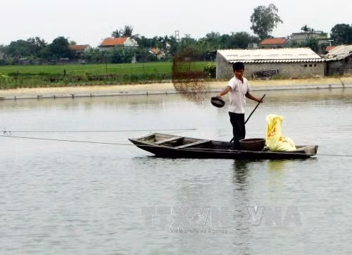 Bắc Giang nâng cao giá trị nuôi trồng thủy sản ảnh 1