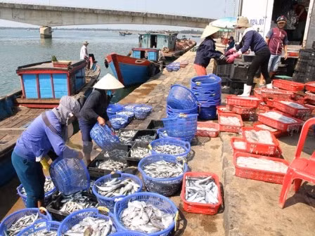 Chi trả 11,9 tỷ đồng cho các chủ tàu và lao động bị thiệt hại do sự cố môi trường biển ảnh 1