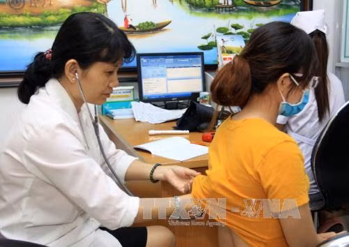 Bệnh do virus Zika tiếp tục "nóng" tại TP Hồ Chí Minh ảnh 1