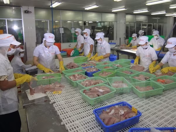 Giải bài toán nguồn nguyên liệu cho cá tra ảnh 1