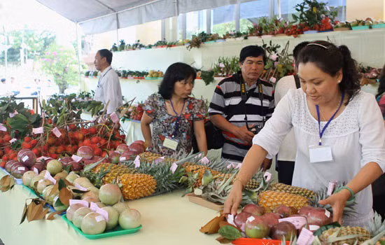Cần chính sách mở làm lực đẩy xuất khẩu trái cây ảnh 1