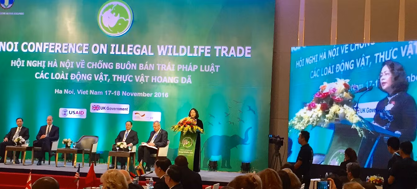 Giám sát chặt chẽ buôn bán động vật hoang dã ảnh 1