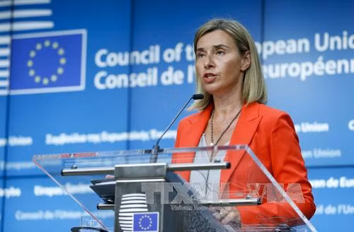EU họp khẩn về cách thức đối phó với Tổng thống đắc cử Mỹ ảnh 1