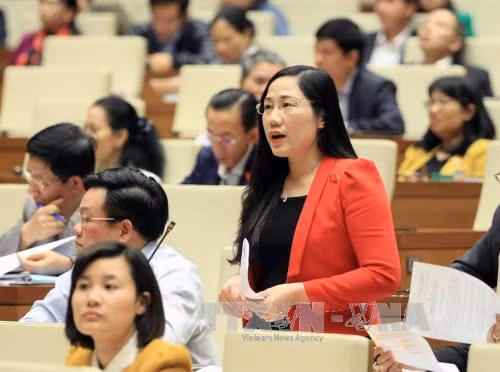 Thông qua dự toán ngân sách nhà nước năm 2017 ảnh 1