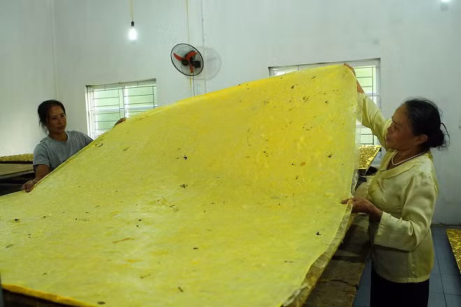 Nghệ nhân Phan Thị Thuận: Gìn giữ và phát triển nghề nuôi tằm truyền thống ảnh 3