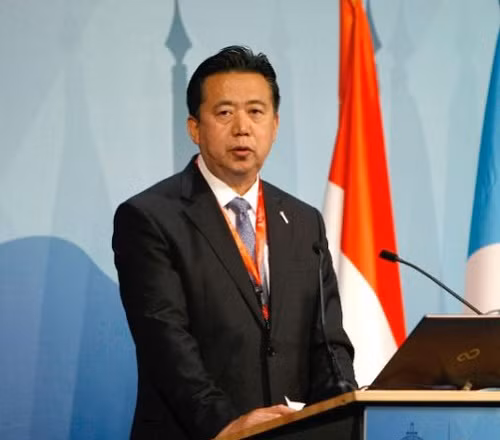 Thứ trưởng Công an Trung Quốc làm Chủ tịch Interpol ảnh 1