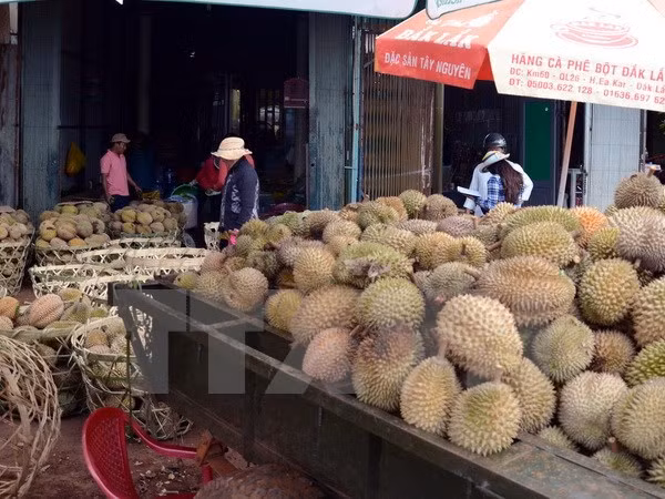 Sầu riêng Tiền Giang lập đỉnh giá mới ảnh 1