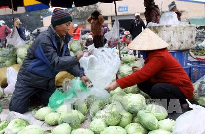 Rét hại, giá rau xanh ở Hà Nội tăng 30-40% ảnh 1
