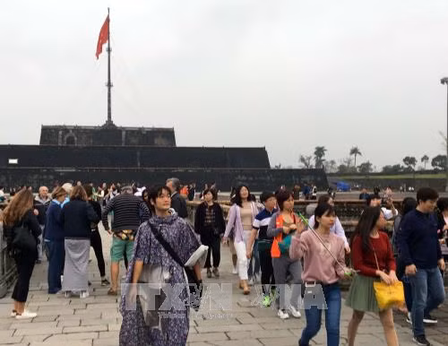 Không để xảy ra tình trạng sốt giá dịch vụ du lịch dịp Tết ảnh 1