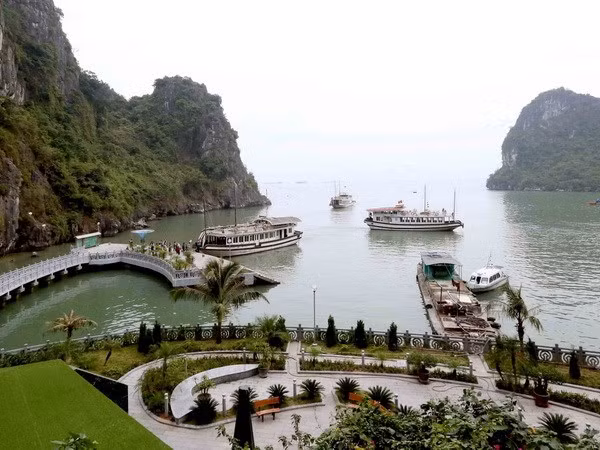 Quảng Ninh nghiên cứu xây đường hầm ngầm ở cửa ngõ vịnh Hạ Long ảnh 1