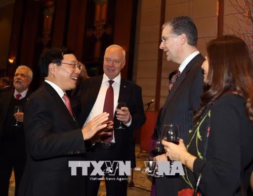 Phó Thủ tướng Phạm Bình Minh gặp mặt đoàn Ngoại giao nhân dịp Tết Mậu Tuất 2018 ảnh 2