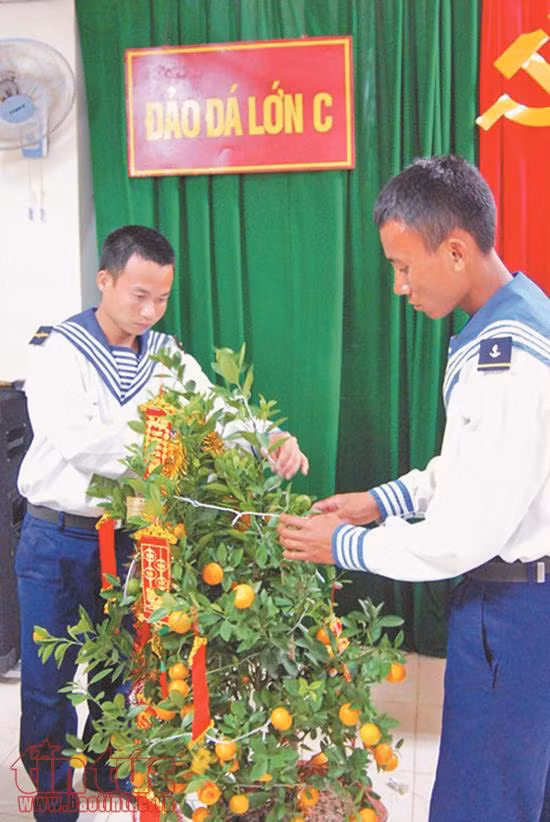 Gần lắm Trường Sa ảnh 3