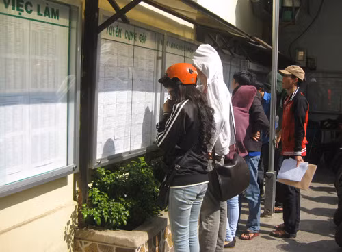 Việc làm cuối năm “vào vụ” ảnh 1