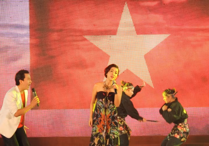 Các ca sỹ 'tiếp lửa' cho SEA Games ảnh 9