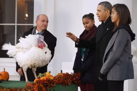 Tổng thống Obama xá tội cho gà tây ảnh 1