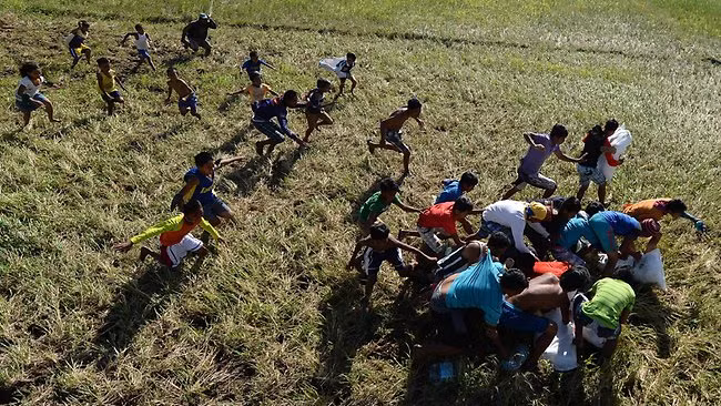 Philippines có thể nhập 2 triệu tấn gạo năm 2014 ảnh 1