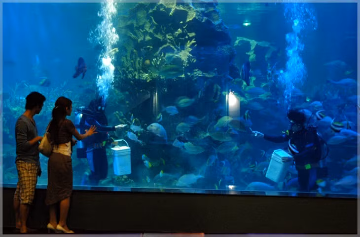 Vincom Mega Mall Times City và những điểm nhấn khác biệt ảnh 2