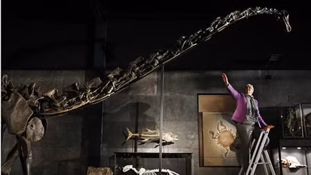 Hơn 650.000 USD cho xương khủng long Diplodocus ảnh 1