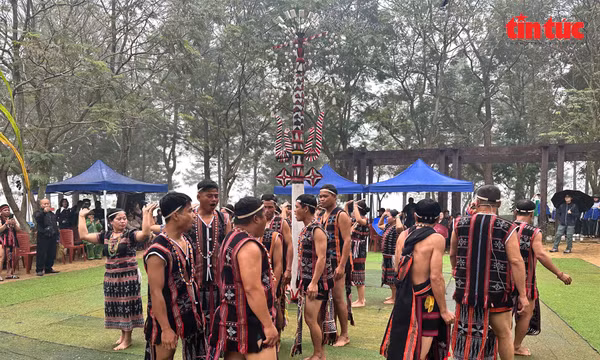 Nét đẹp văn hóa truyền thống của người Cơ Tu qua vũ điệu ‘Tung tung da dá’ giữ gìn bản sắc trong nhịp sống hiện đại Đà Nẵng.