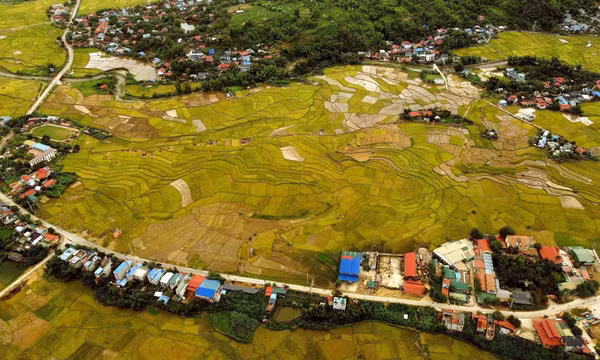 Cánh đồng Mường Tấc, xã Phù Yên (Sơn La)