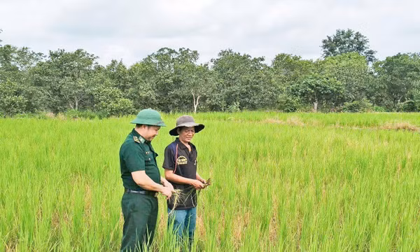 Từ ruộng lúa biên cương đến thế trận lòng dân vững chắc