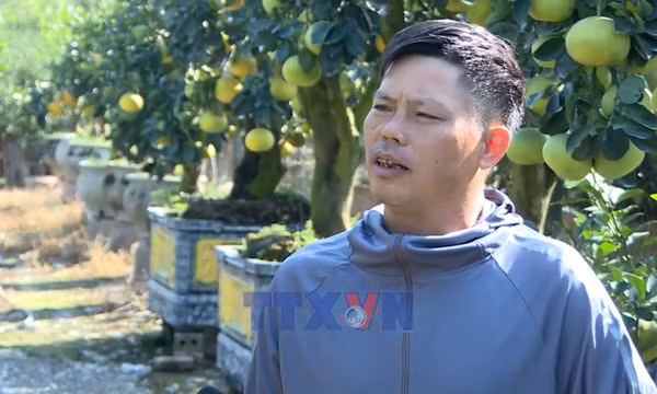 Đồng hành cùng nông dân đổi mới tư duy sản xuất