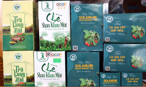 OCOP Tuyên Quang: Từ sản vật bản địa đến thương hiệu vùng miền